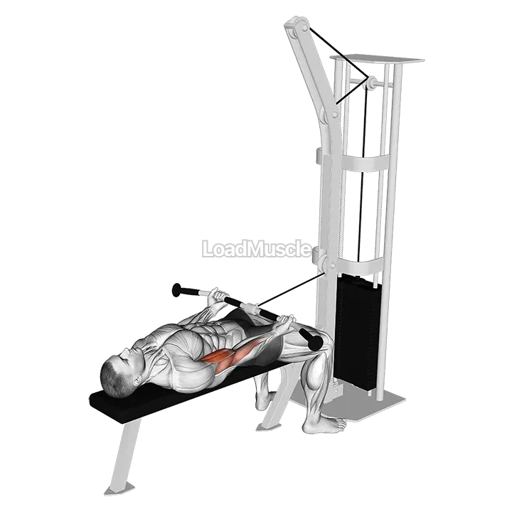 Cable Lying Biceps Curl demonstration