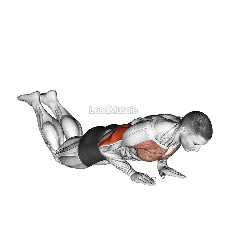 Close-grip Push-up (on knees) demonstration