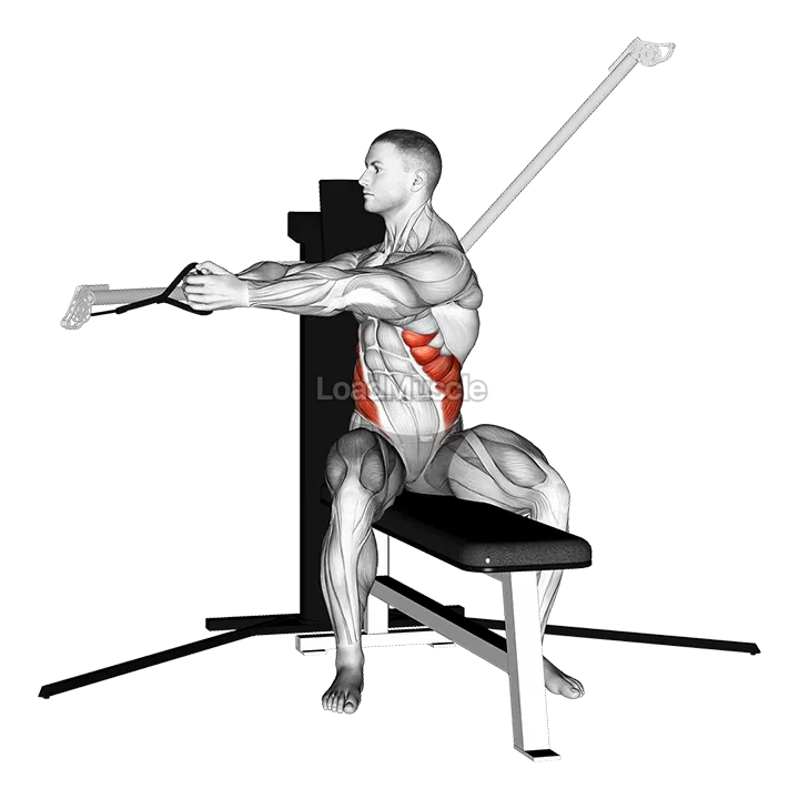 Cable Seated Twist demonstration
