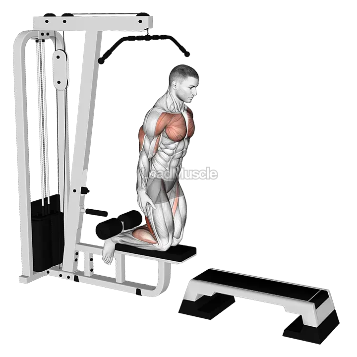 Inverse Leg Curl (on pull-up cable machine) demonstration