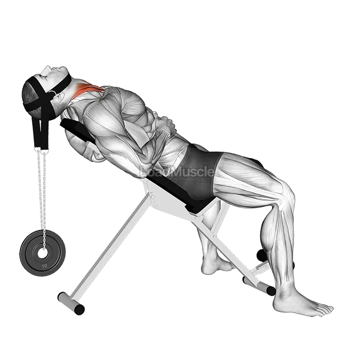 Weighted Lying Neck Flexion (with head harness) demonstration