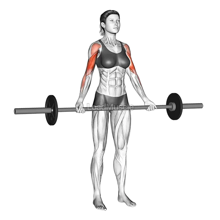 Barbell Wide-grip Drag Curl demonstration