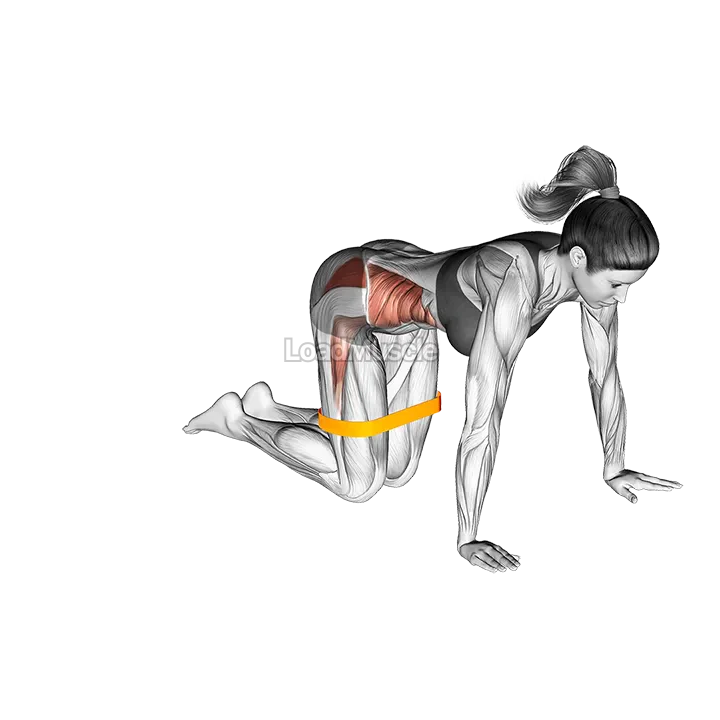 Resistance Band Bent Leg Side Kick (kneeling) demonstration