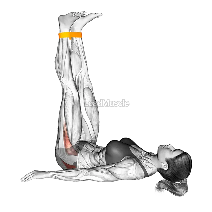 Resistance Band Lying Abduction demonstration