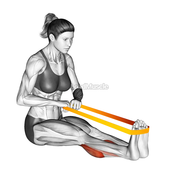 Resistance Band Calf Raise demonstration