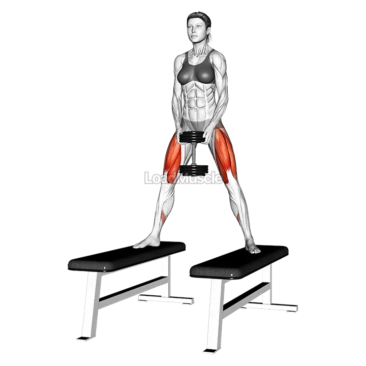 Dumbbell Sumo Squat off Benches demonstration