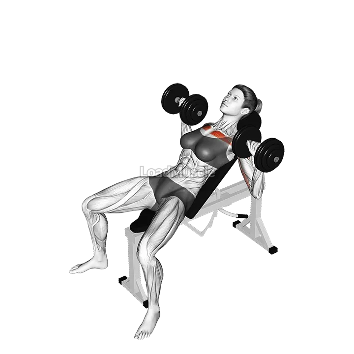 Dumbbell Incline Bench Press demonstration