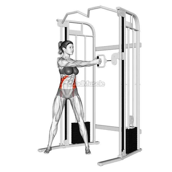 Cable Twist demonstration