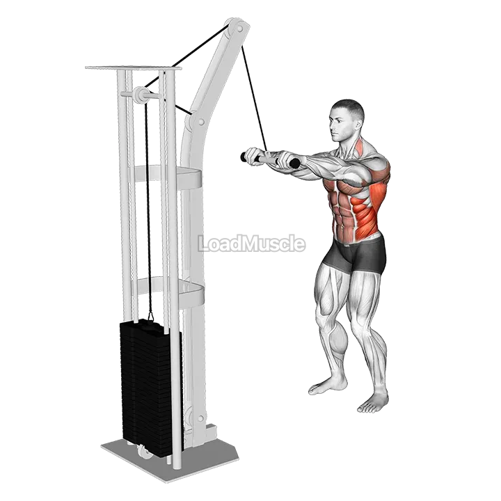 Cable Thibaudeau Kayak Row demonstration