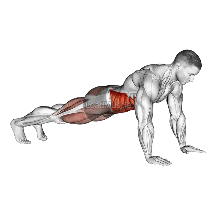 Bridge - Mountain Climber (Cross Body) demonstration