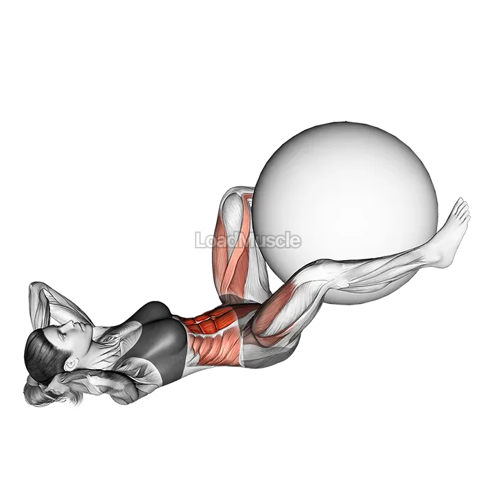 Exercise Ball Frog Crunch demonstration
