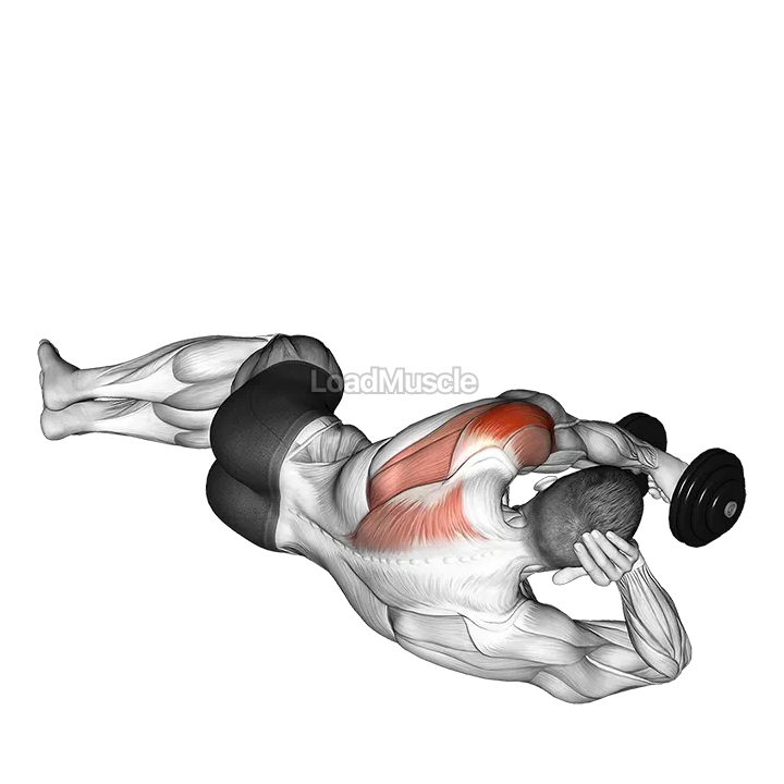 Dumbbell Lying on Floor Rear Delt Raise demonstration