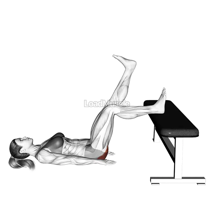 Glute Bridge One Leg on Bench demonstration