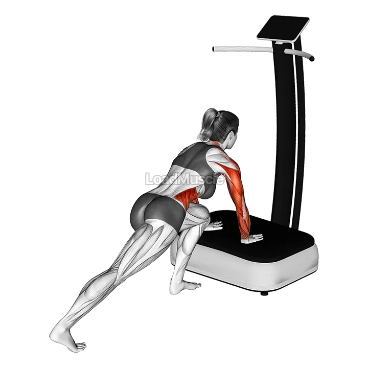 Vibrate Plate Plank demonstration