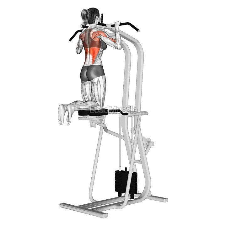 Assisted Pull up demonstration