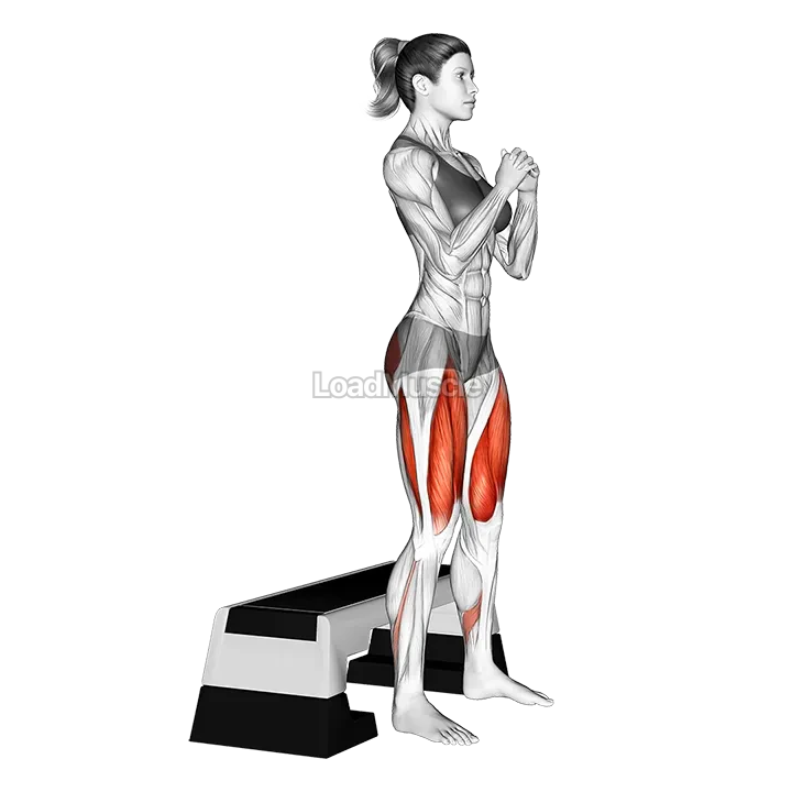 Bench Full Squat demonstration