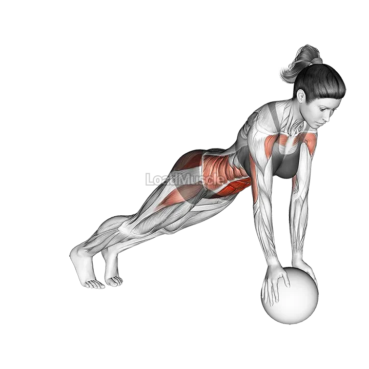 Jack Plank on Medicine Ball demonstration