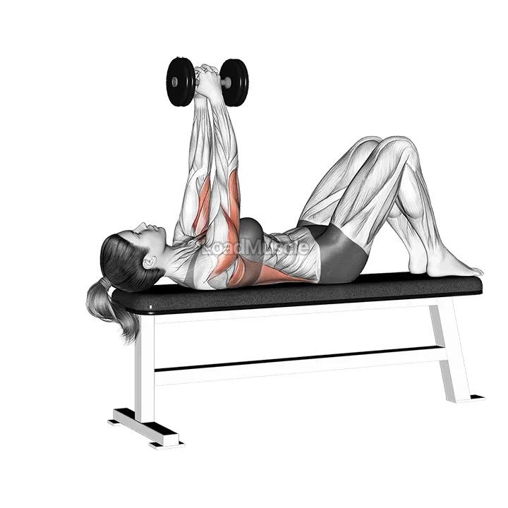 Dumbbell Bent Arm Pullover with Knees Bent demonstration