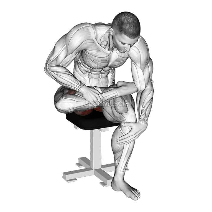 Seated Piriformis Stretch demonstration