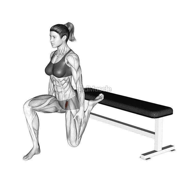 Hip Flexor Stretch Rear foot elevated demonstration