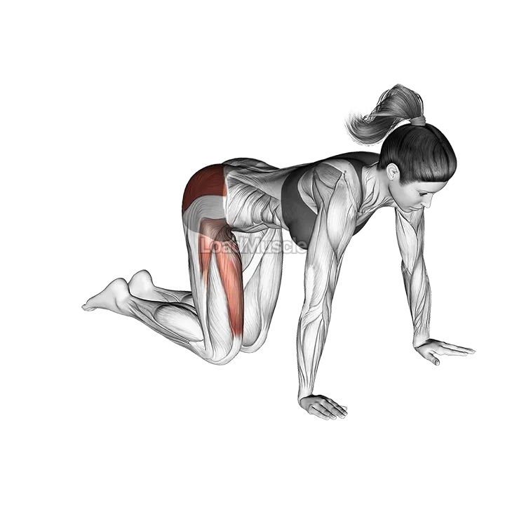 Bent Leg Circle Kick (kneeling) demonstration