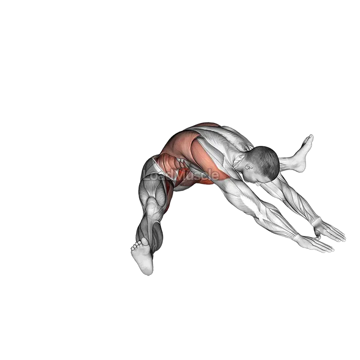 Roll-overs into V-sits demonstration