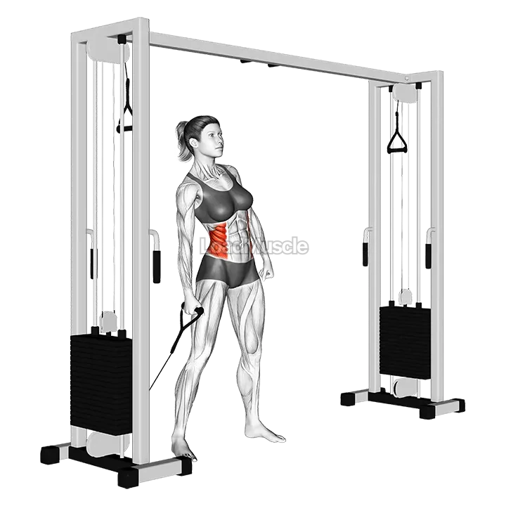 Cable Side Bend demonstration