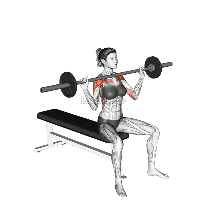 Barbell Seated Overhead Press demonstration