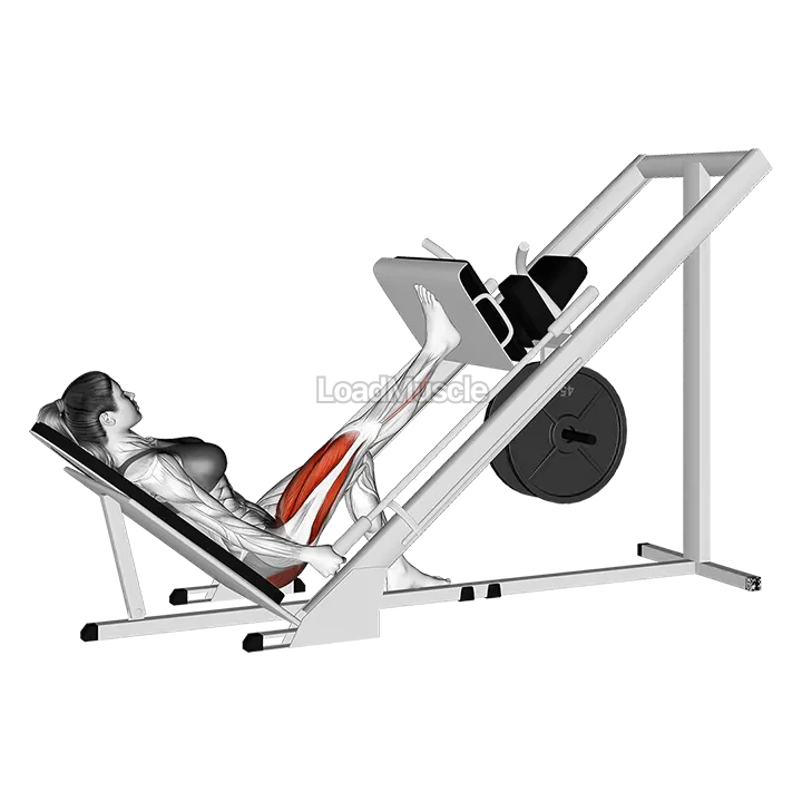Sled 45 degrees One Leg Press demonstration