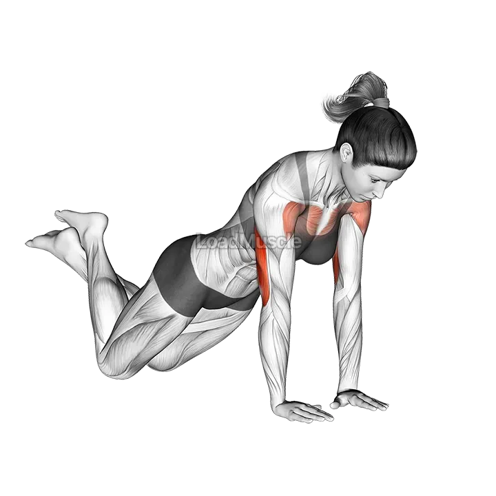 Close-grip Push-up (on knees) demonstration