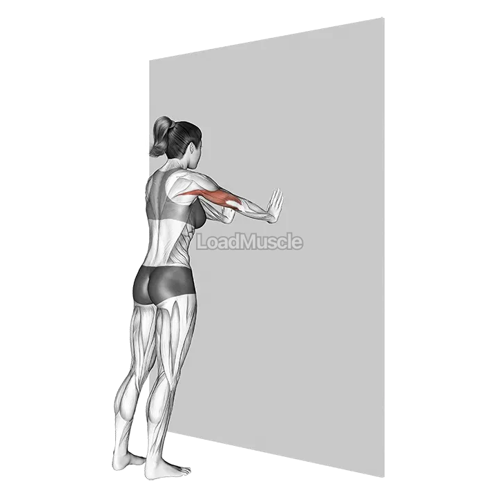 Push-up (wall) demonstration