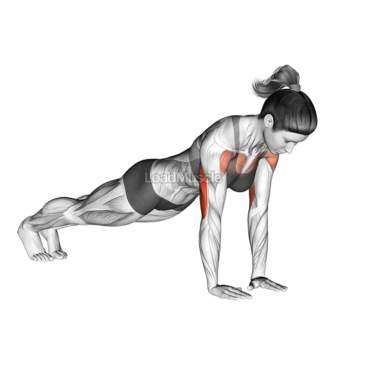 Close-Grip Push-up demonstration