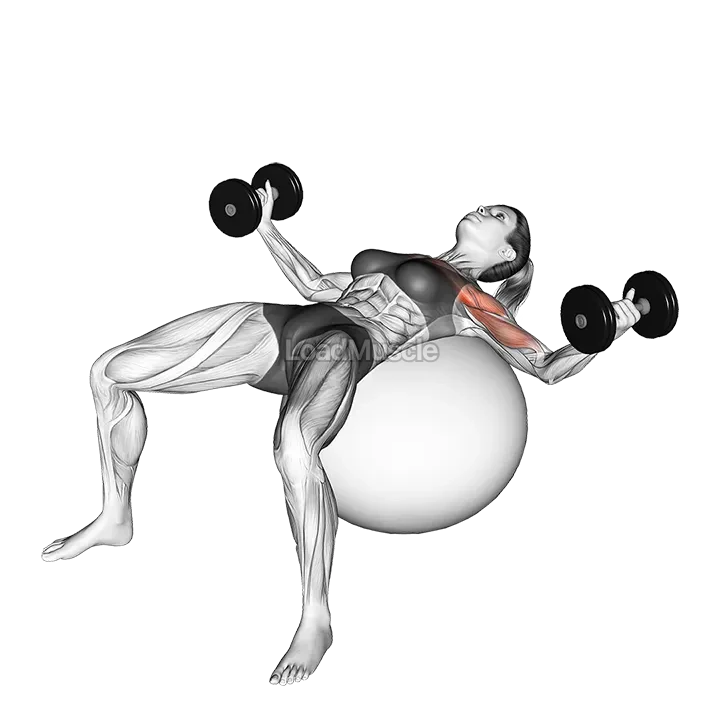 Dumbbell Fly on Exercise Ball demonstration