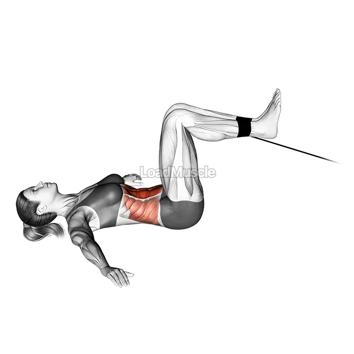 Cable Reverse Crunch demonstration