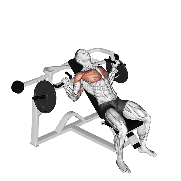 Lever Incline Chest Press (plate loaded) demonstration