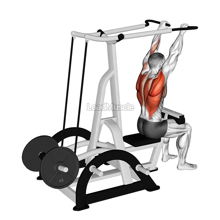Lever High Row (plate loaded) demonstration