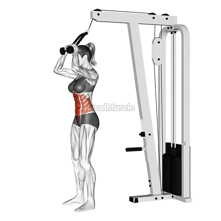 Cable Standing Crunch (with rope attachment) demonstration