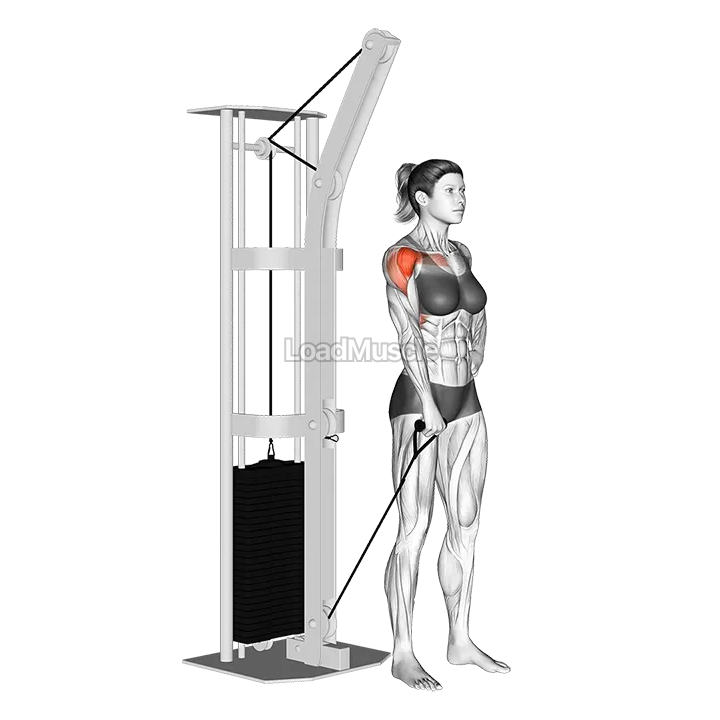 Cable One Arm Front Raise demonstration