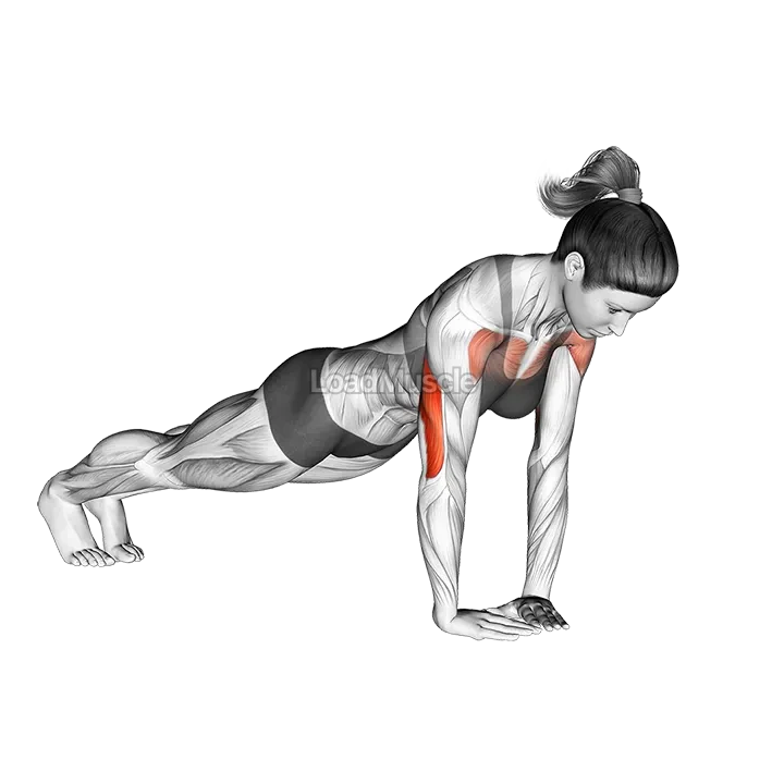 Diamond Push up demonstration