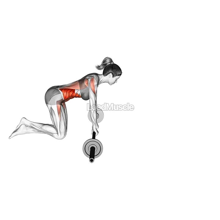 Barbell Rollout demonstration