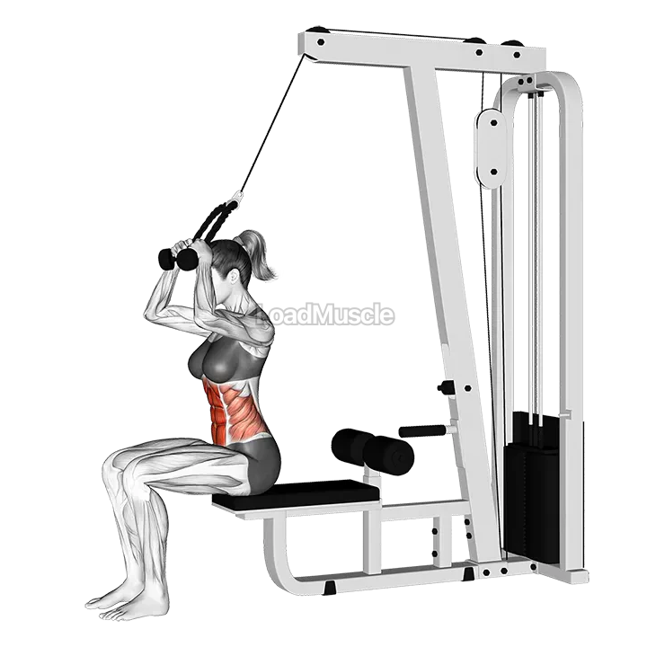 Cable Seated Crunch demonstration