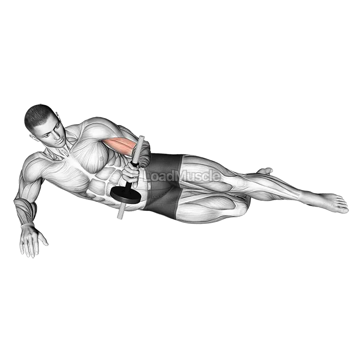 Dumbbell Lying Supination on Floor demonstration