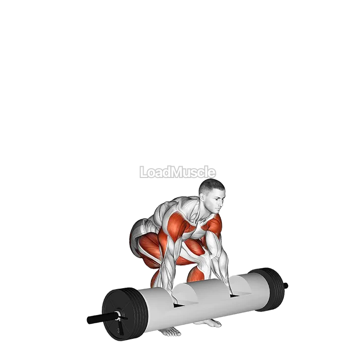 StrongMan Log Lift demonstration