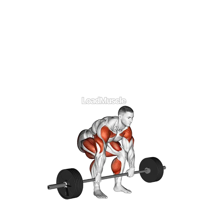 StrongMan Apollons Axle demonstration