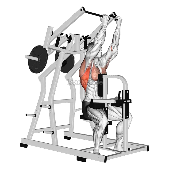 Lever Reverse grip Lateral Pulldown (plate loaded) demonstration