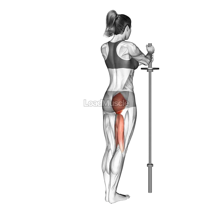 Standing Hip Extension (straight leg) demonstration