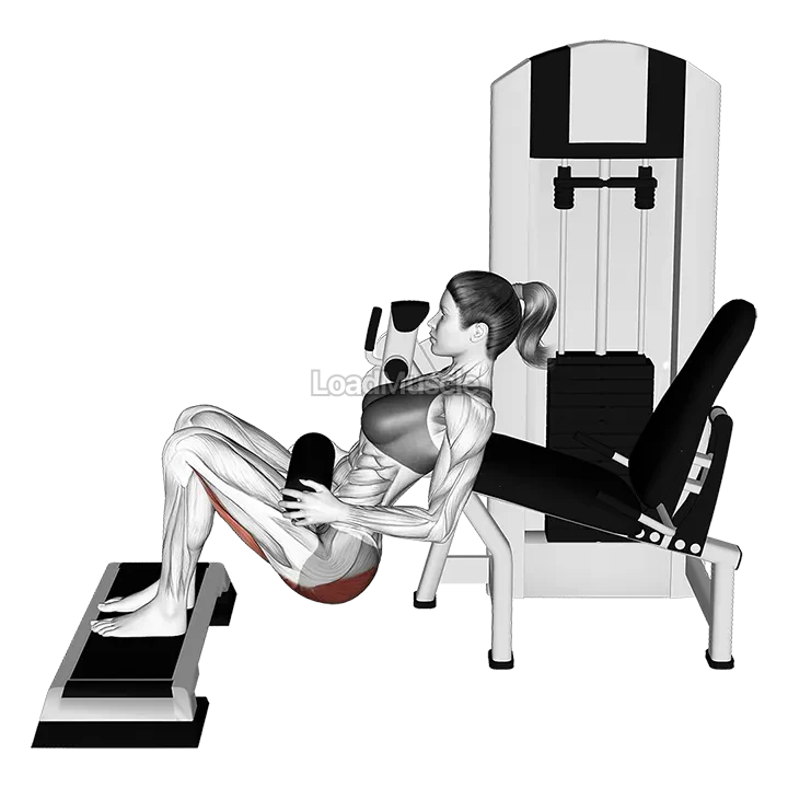 Lever Hip Thrust (with stepbox) demonstration
