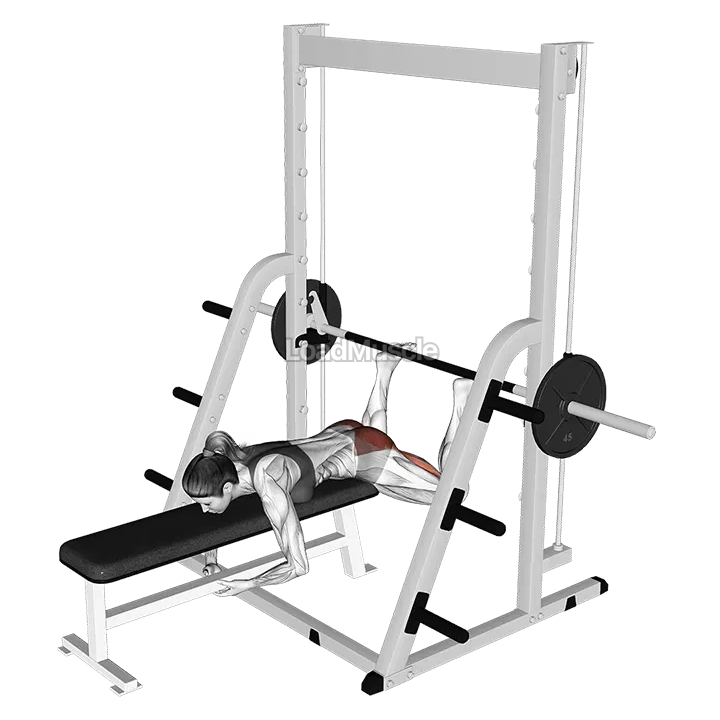 Smith Reverse Hyperextension demonstration