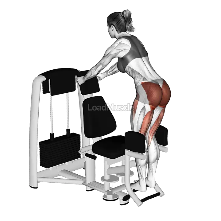 Lever Abduction Squat demonstration