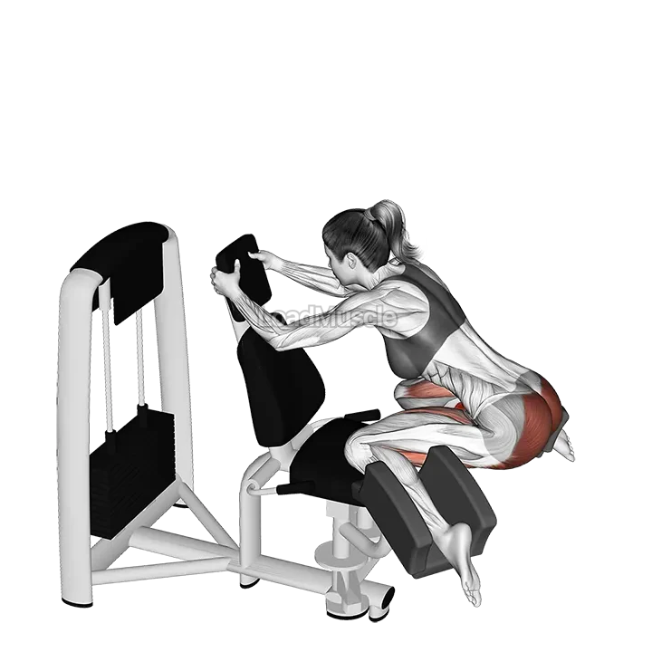 Lever Adduction Thrust demonstration